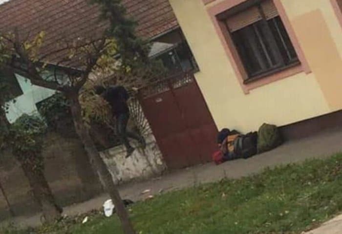 БОЈИМ СЕ ЗА СВОЈ ЖИВОТ: Мигранти снимљени како упадају у куће по Сомбору, медији игноришу! (фото)