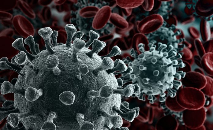 СЗО: Брине ширење корона вируса, али није пандемија
