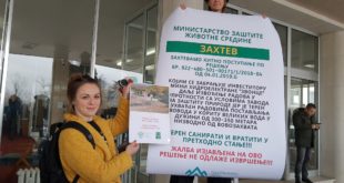 Протест покрета Одбранимо реке Старе планине: Без одлагања извадити цеви из Ракитске реке (видео)