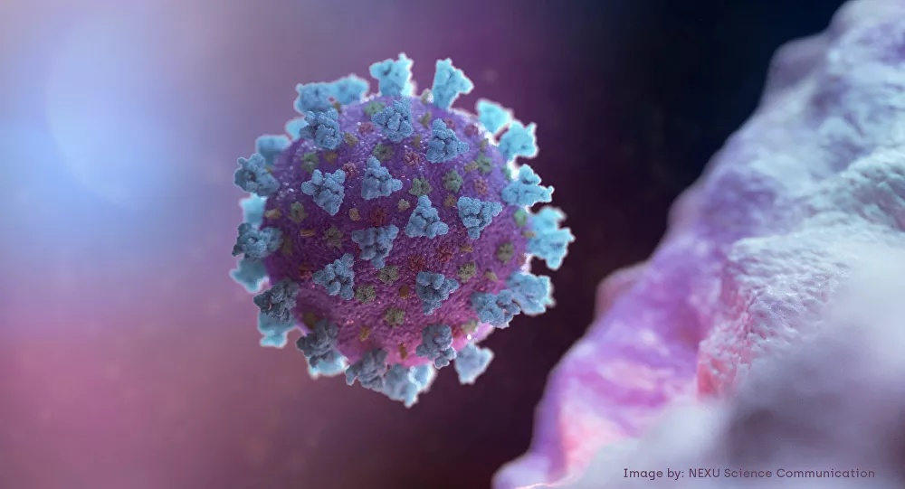 Израелска студија: Природни имунитет након инфекције корона вирусом 13 пута јачи од вакцина
