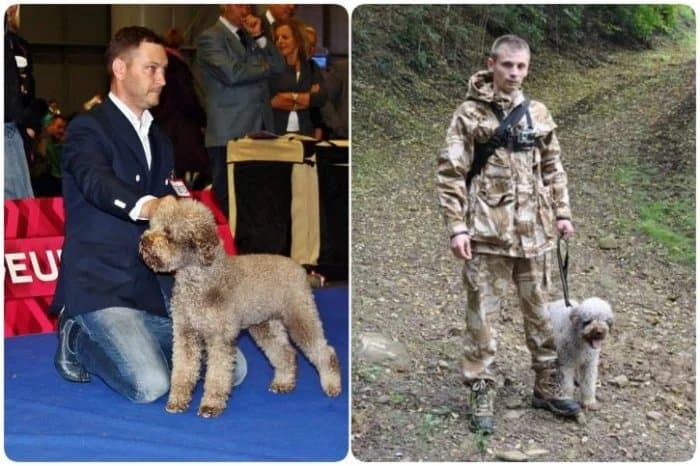 Рат тартуф кланова дивља Србијом: Убијају људе и псе