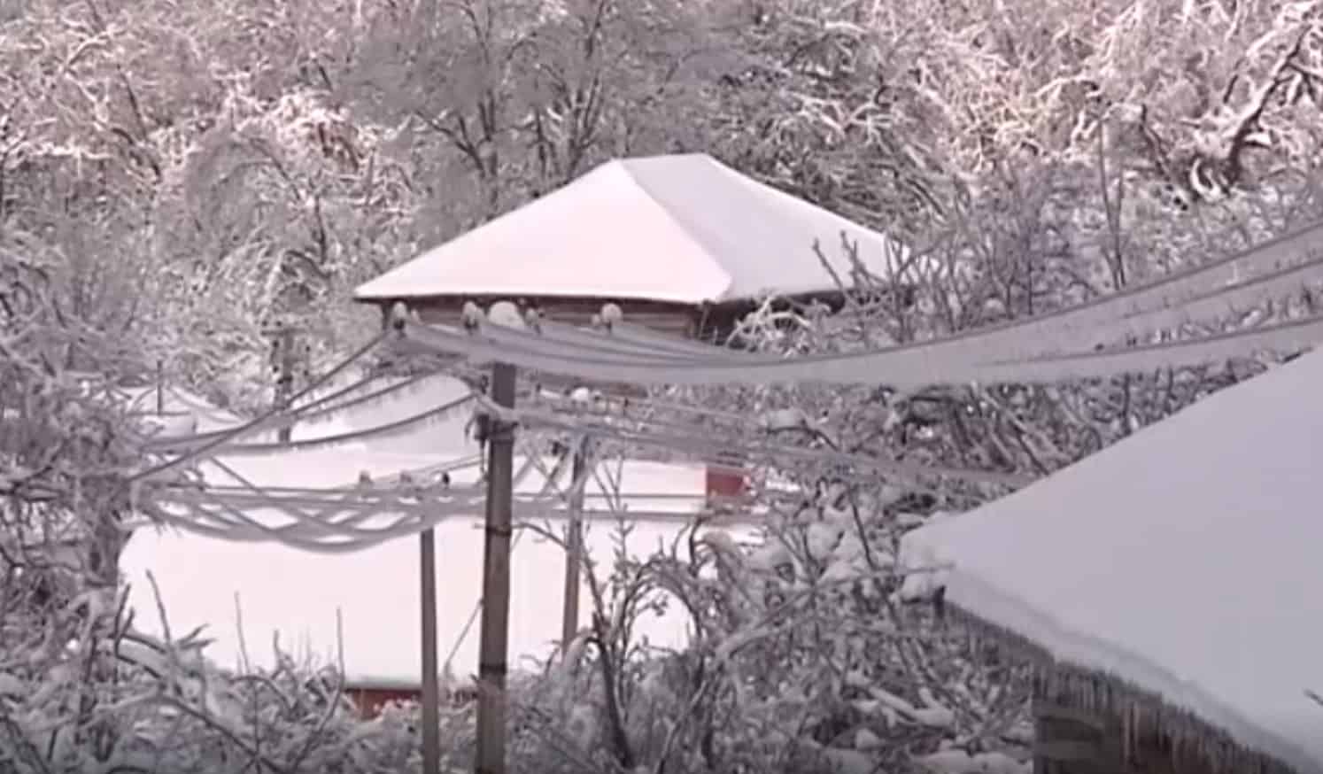 Скоро сва села на подручју Лесковца, Медвеђе и Грделице данима без струје, окована снегом и ледом