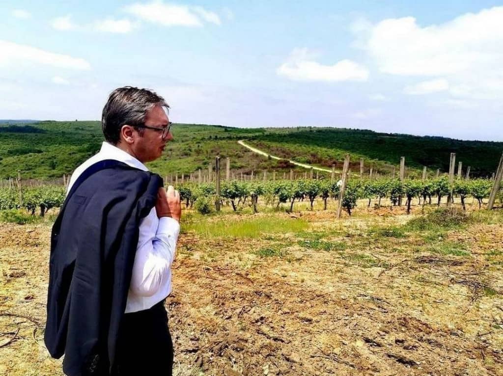 ЕKСKЛУЗИВНО: Kако је Вучић за сина Данила у пола цене купио плантажу од преко 500 хектара код Лесковца! (фото, видео)