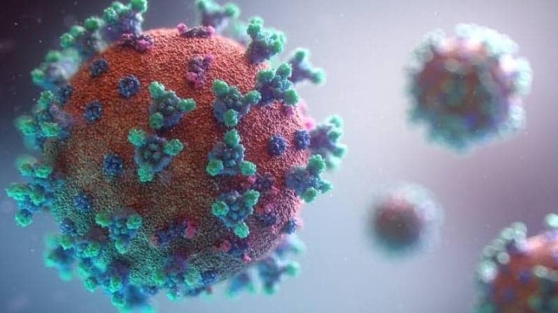 ЦДЦ признао да природни имунитет има има бољу заштиту од експерименталних вакцина