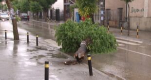 Јако невреме погодило Врање: Потоци на улицама, ветар рушио дрвеће