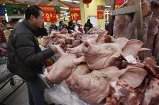 Кина купује сву храну по свету која је на продају