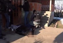 Полиција запленила 300 килограма марихуане у Великом Трновцу (видео)