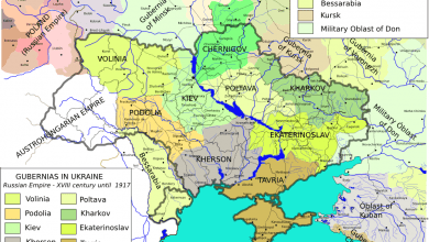 Перишић: Руско решење у Украјини доноси српско решење на Балкану - не преко ноћи, већ фазно