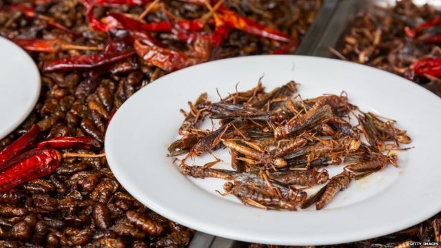 После скакаваца и црва нови инсект на менију: ЕУ прогласила цврчке новом храном за људе