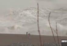 Олуја опустошила Европу: 9 мртвих, падало дрвеће, удари ветра до 196 км на сат (видео)
