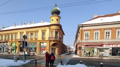 Родитељи из Панчева описали како нарко мафија врбује децу да скупља гласове за Вучића и СНС