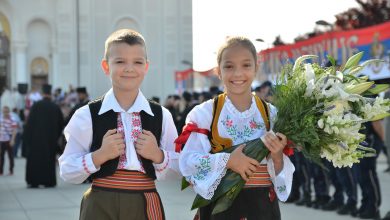 М. Ружић: Српчићи у раљама српских аутошовиниста