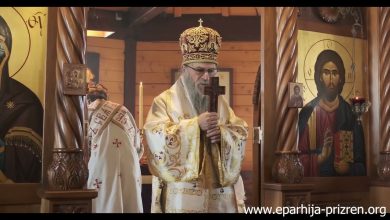 Беседа Владике Николаја у недељу Православља (видео)