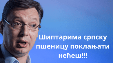 Када у резерви буде 1.200.000 тона пшенице за српске потребе вишак може у извоз