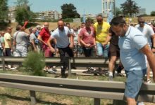 Дивље свиње вршљају по Новом Београду (видео)