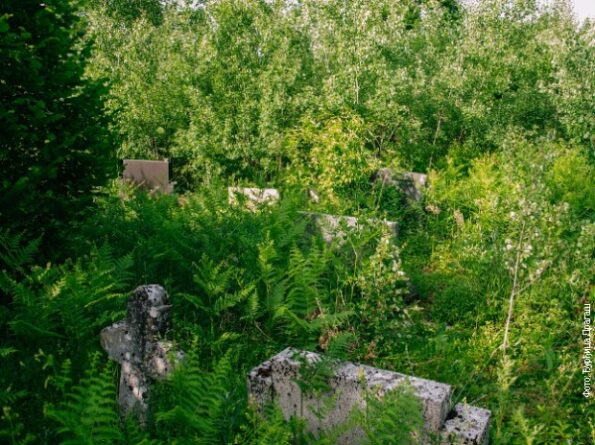 Хрвати преорали гробље на којем почива и 128 жена и деце, усташких жртава на Петровој гори