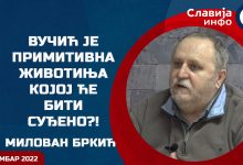 Милован Бркић: Испливале су важне истине на суђењу Вељи Невољи! (видео)