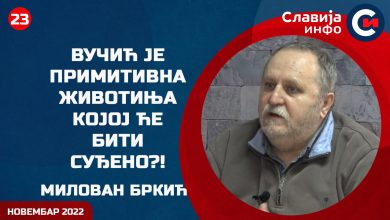 Милован Бркић: Испливале су важне истине на суђењу Вељи Невољи! (видео)