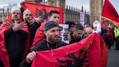 У Британији дошла маца на вратанца! Албанцима треба забранити да траже азил