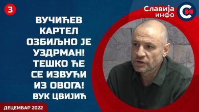 Вук Цвијић: Вучићев картел озбиљно је уздрман! Тешко ће се извући из овога! (видео)