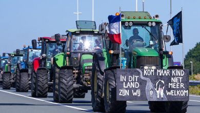 ЕУ издваја 1,5 милијарди евра за уништење сточарства у Холандији