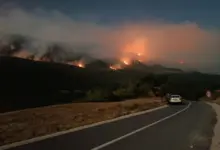 Зашто се чекало да се разбукте пожари на Хомољу и Видличу? (видео)