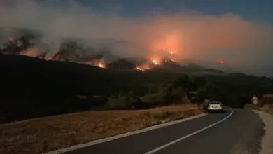 Зашто се чекало да се разбукте пожари на Хомољу и Видличу? (видео)