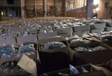 Гашић мора да буде смењен и испитан: Ово је позадина јучерашње заплене 5 тона дроге у Крушевцу! (фото, видео) Гашић мора да буде смењен и испитан: Ово је позадина јучерашње заплене 5 тона дроге у Крушевцу! (фото, видео)