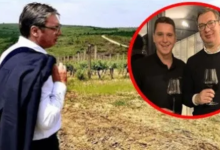 ЉУБИ ГА ТАТА! Како је Данило Вучић добио Навип и 700 хектара винограда ЉУБИ ГА ТАТА! Како је Данило Вучић добио Навип и 700 хектара винограда