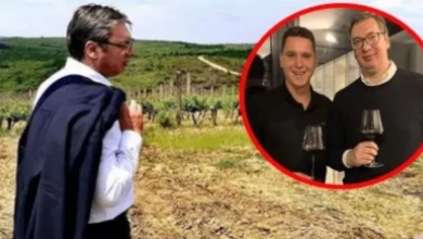 ЉУБИ ГА ТАТА! Како је Данило Вучић добио Навип и 700 хектара винограда ЉУБИ ГА ТАТА! Како је Данило Вучић добио Навип и 700 хектара винограда