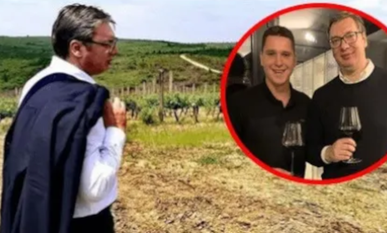 ЉУБИ ГА ТАТА! Како је Данило Вучић добио Навип и 700 хектара винограда ЉУБИ ГА ТАТА! Како је Данило Вучић добио Навип и 700 хектара винограда