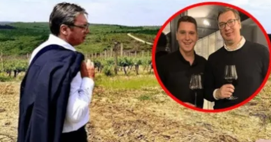 ЉУБИ ГА ТАТА! Како је Данило Вучић добио Навип и 700 хектара винограда