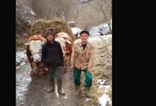 Ево како се данас живи у куршумлијским селима која су препуштена сама себи! (видео)