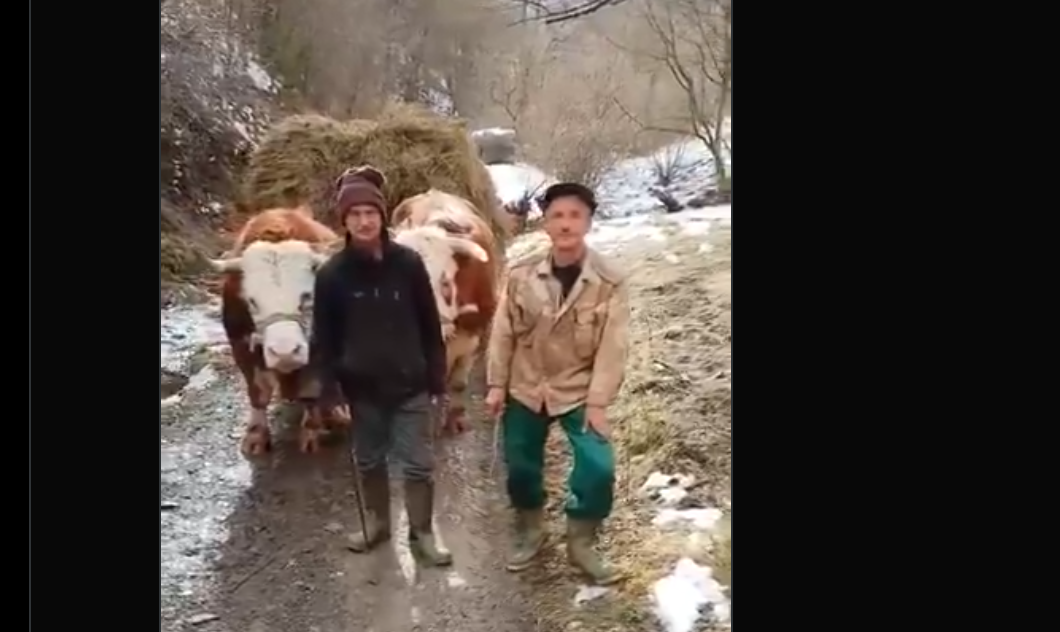 Ево како се данас живи у куршумлијским селима која су препуштена сама себи! (видео)