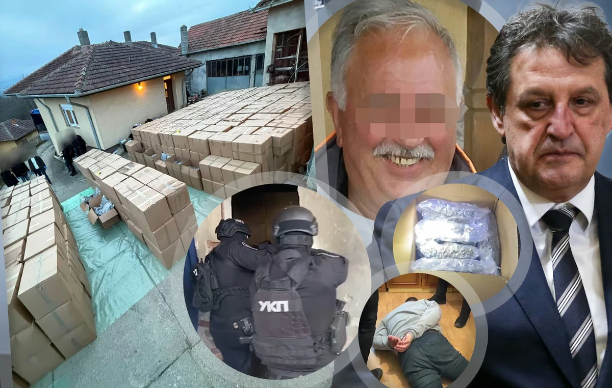 МАЈА ЈАКИШИЋ: Америчка „ДЕА“ у досијеима Братислава Гашића декларише као нарко-боса!