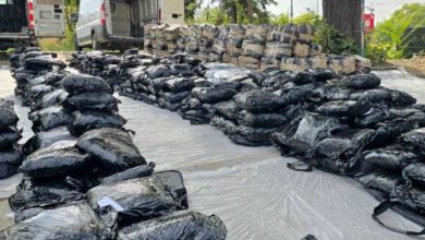 У Македонији заплењено преко 40 тона дроге спремљних за продају у Србији преко напредних нарко дилера! (видео)