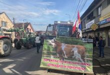 Србијо, крајње је време да станеш уз своје хранитеље и своју децу или те за 10 година неће бити! (фото, видео) Србијо, крајње је време да станеш уз своје хранитеље и своју децу или те за 10 година неће бити! (фото, видео)