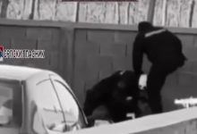 ШУТИРА ГА ВЕЗАНОГ У ГЛАВУ! Полицијско иживљавање над пољопривредником из Мачве (видео) ШУТИРА ГА ВЕЗАНОГ У ГЛАВУ! Полицијско иживљавање над пољопривредником из Мачве (видео)