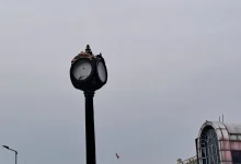 Ал сте га оправили свака вам част! Напредни безмозгаћи би и камен покварили! Да човек не поверује... Ал сте га оправили свака вам част! Напредни безмозгаћи би и камен покварили! Да човек не поверује...