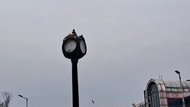 Ал сте га оправили свака вам част! Напредни безмозгаћи би и камен покварили! Да човек не поверује...